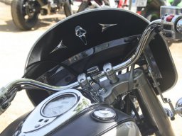 XVI Concentracion - 2009